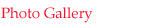 Photo Gallery