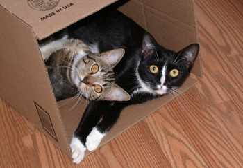 EMMIE & LEXI