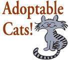 Adopt Cats