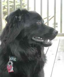 Tucker