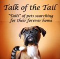 Talk Of The Tail