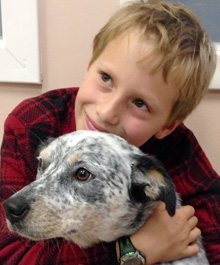 adopted dog with boy