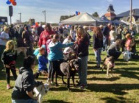 Bark in the Park 2015