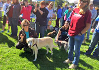 The Atticus M. Finch Walk for the Animals
