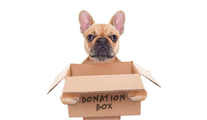 donate